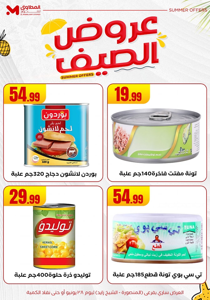 el-mahallawy offers from 25jun to 6jun 2025 عروض المحلاوي من 25 يونيو حتى 6 يونيو 2025 صفحة رقم 24